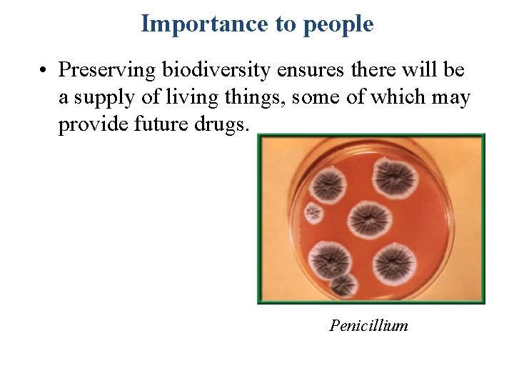 Importance to people • Preserving biodiversity ensures there will be a supply of living