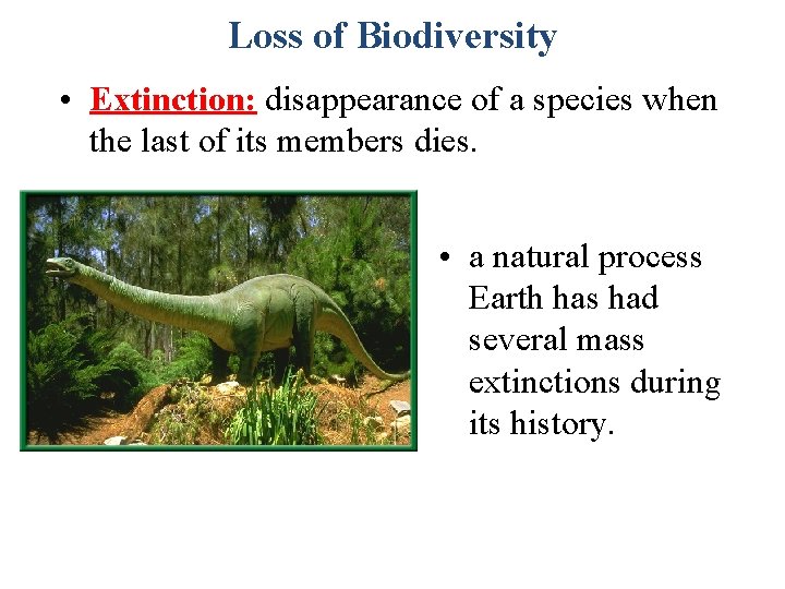 Loss of Biodiversity • Extinction: disappearance of a species when the last of its