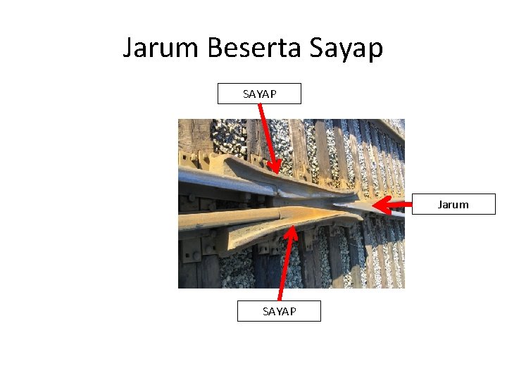 Jarum Beserta Sayap SAYAP Jarum SAYAP 