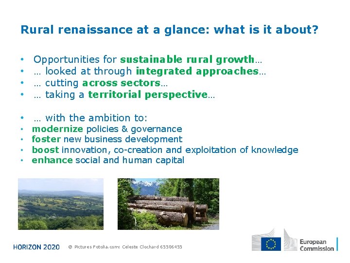 Rural renaissance at a glance: what is it about? • • Opportunities for sustainable