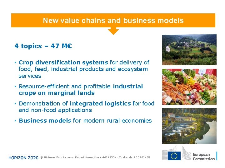 New value chains and business models 4 topics – 47 M€ • Crop diversification