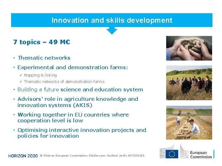 Innovation and skills development 7 topics – 49 M€ • Thematic networks • Experimental