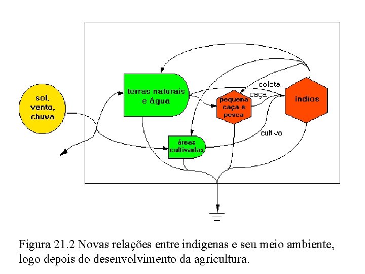 Figura 21. 2 Novas relações entre indígenas e seu meio ambiente, logo depois do