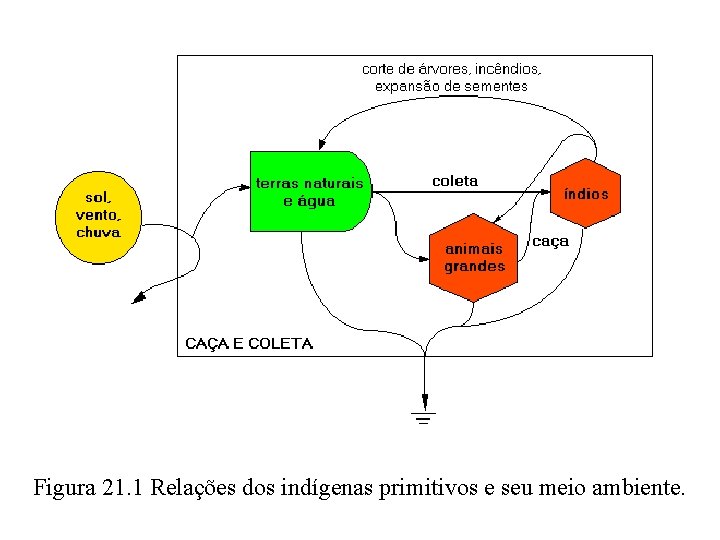 Figura 21. 1 Relações dos indígenas primitivos e seu meio ambiente. 