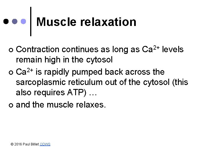 Muscle relaxation Contraction continues as long as Ca 2+ levels remain high in the