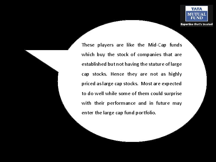 These players are like the Mid-Cap funds which buy the stock of companies that