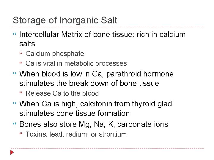 Storage of Inorganic Salt Intercellular Matrix of bone tissue: rich in calcium salts When