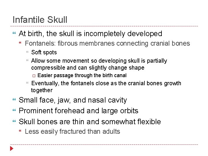Infantile Skull At birth, the skull is incompletely developed Fontanels: fibrous membranes connecting cranial