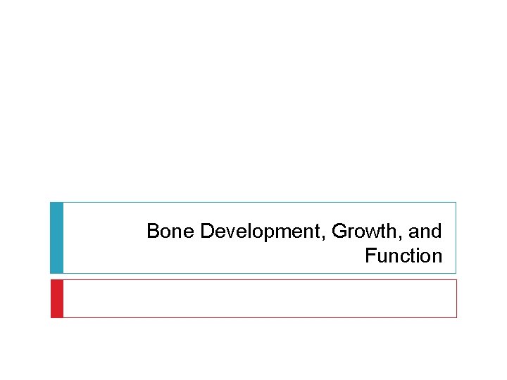 Bone Development, Growth, and Function 