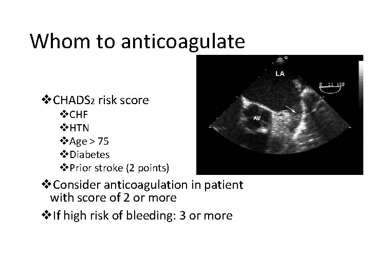 Whom to anticoagulate v. CHADS 2 risk score v. CHF v. HTN v. Age