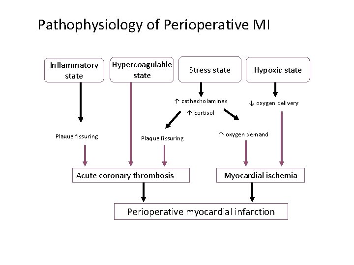 Pathophysiology of Perioperative MI Inflammatory state Hypercoagulable state Stress state ↑ cathecholamines Hypoxic state