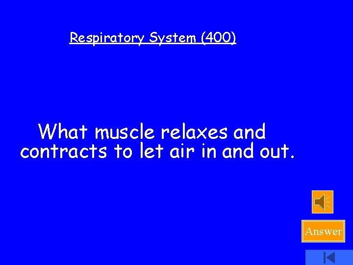 Respiratory System (400) What muscle relaxes and contracts to let air in and out.