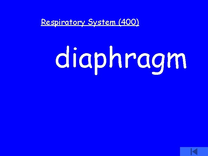 Respiratory System (400) diaphragm 