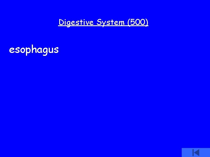 Digestive System (500) esophagus 