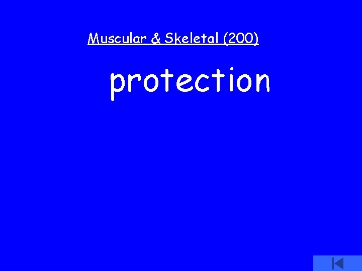 Muscular & Skeletal (200) protection 