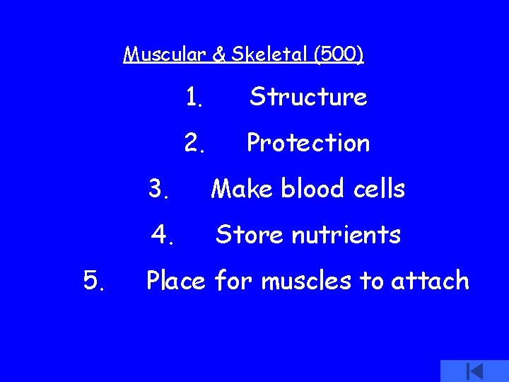 Muscular & Skeletal (500) 5. 1. Structure 2. Protection 3. Make blood cells 4.