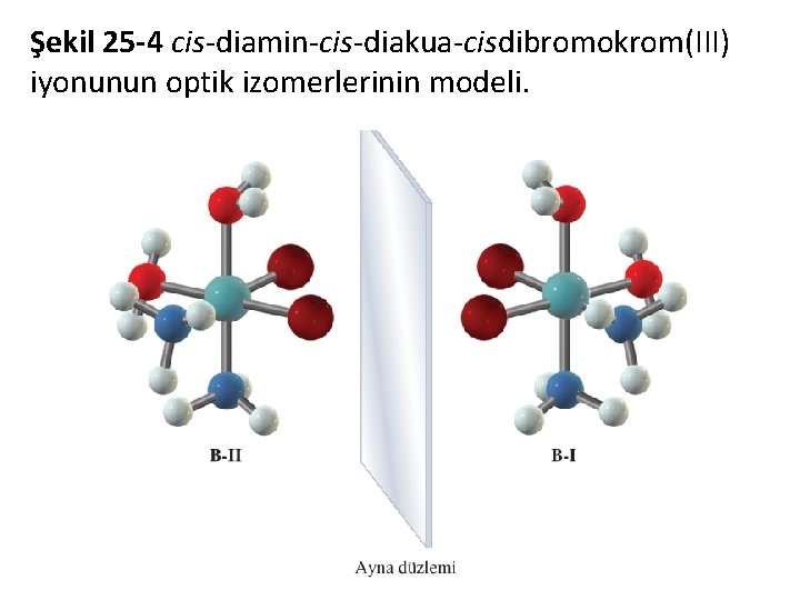 Şekil 25 -4 cis-diamin-cis-diakua-cisdibromokrom(III) iyonunun optik izomerlerinin modeli. 