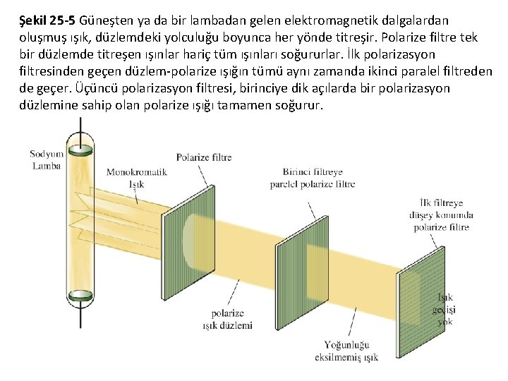 Şekil 25 -5 Güneşten ya da bir lambadan gelen elektromagnetik dalgalardan oluşmuş ışık, düzlemdeki