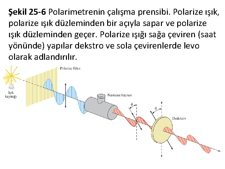 Şekil 25 -6 Polarimetrenin çalışma prensibi. Polarize ışık, polarize ışık düzleminden bir açıyla sapar