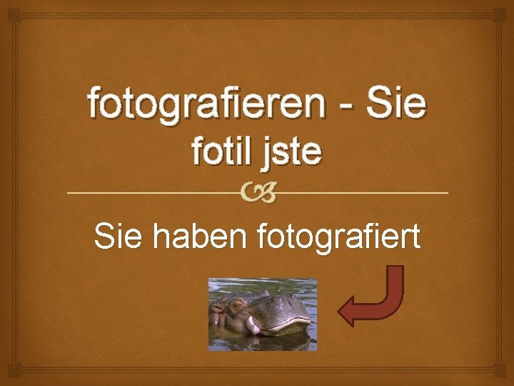 fotografieren - Sie fotil jste Sie haben fotografiert 