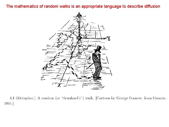 The mathematics of random walks is an appropriate language to describe diffusion The mathematics of random walks is an appropriate language to describe diffusion