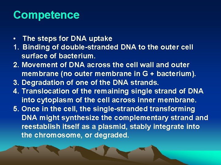 Competence • The steps for DNA uptake 1. Binding of double-stranded DNA to the