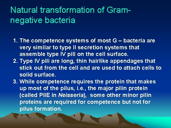 Natural transformation of Gramnegative bacteria 1. The competence systems of most G – bacteria