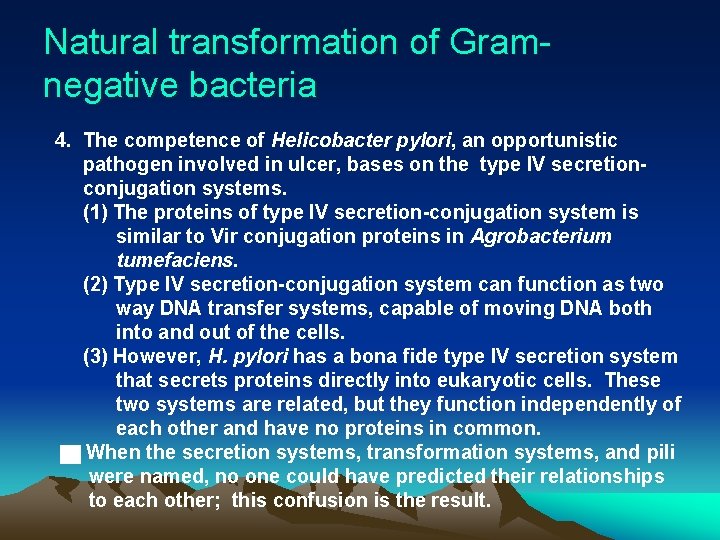 Natural transformation of Gramnegative bacteria 4. The competence of Helicobacter pylori, an opportunistic pathogen