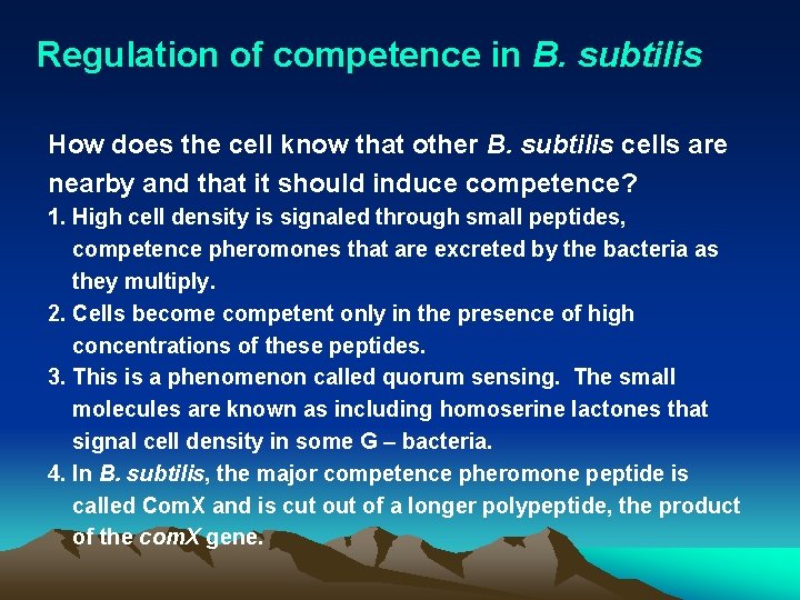 Regulation of competence in B. subtilis How does the cell know that other B.