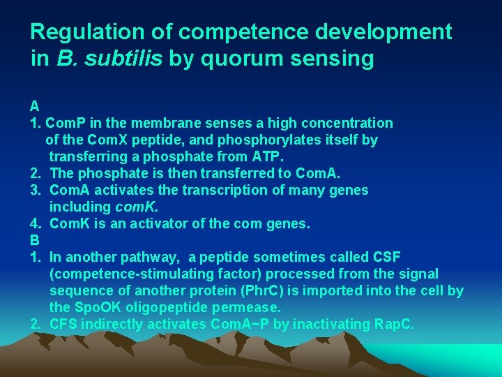 Regulation of competence development in B. subtilis by quorum sensing A 1. Com. P