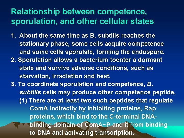 Relationship between competence, sporulation, and other cellular states 1. About the same time as