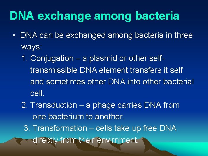 DNA exchange among bacteria • DNA can be exchanged among bacteria in three ways: