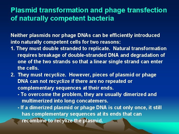 Plasmid transformation and phage transfection of naturally competent bacteria Neither plasmids nor phage DNAs