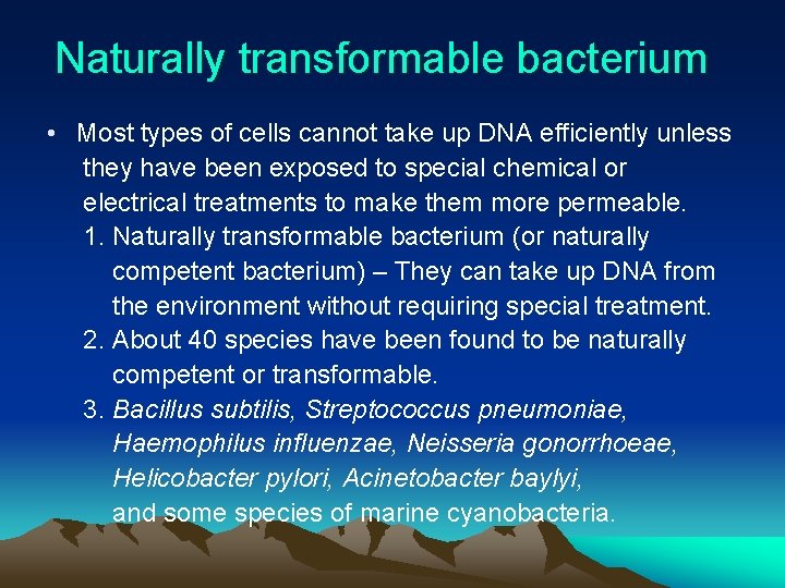Naturally transformable bacterium • Most types of cells cannot take up DNA efficiently unless