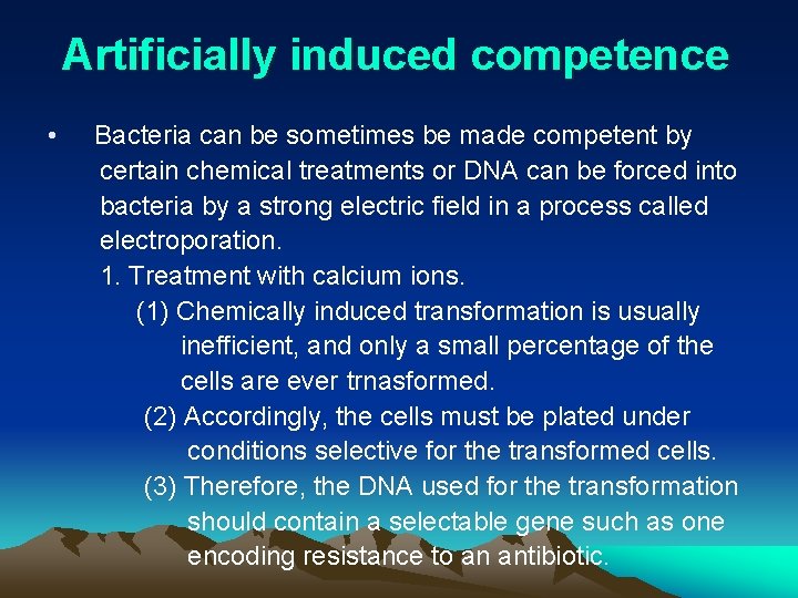 Artificially induced competence • Bacteria can be sometimes be made competent by certain chemical