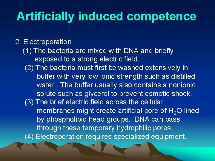 Artificially induced competence 2. Electroporation (1) The bacteria are mixed with DNA and briefly