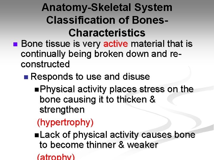 Anatomy-Skeletal System Classification of Bones. Characteristics n Bone tissue is very active material that