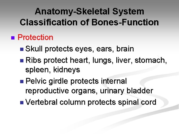 Anatomy-Skeletal System Classification of Bones-Function n Protection n Skull protects eyes, ears, brain n