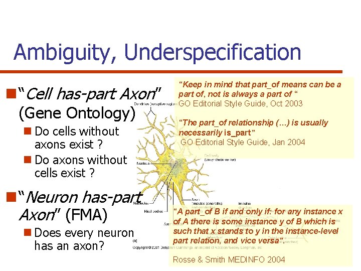 Ambiguity, Underspecification n “Cell has-part Axon” (Gene Ontology) n Do cells without axons exist