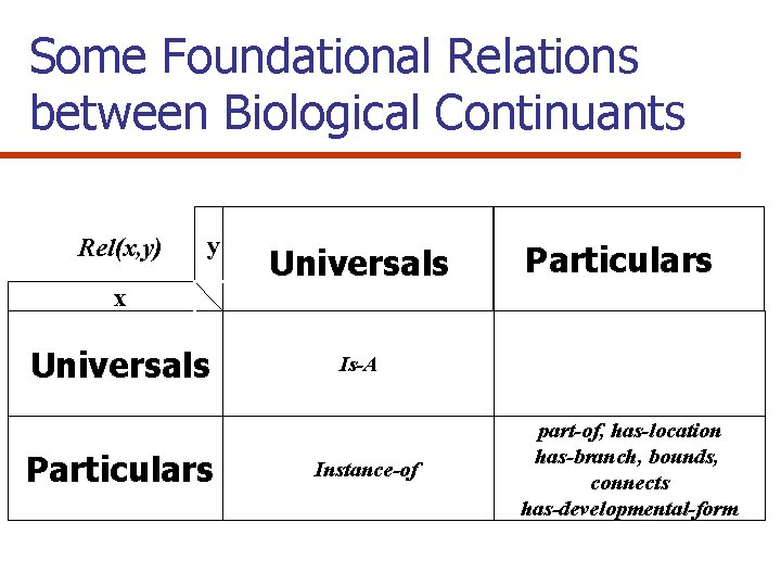 Some Foundational Relations between Biological Continuants Rel(x, y) y x Universals Particulars Is-A Instance-of