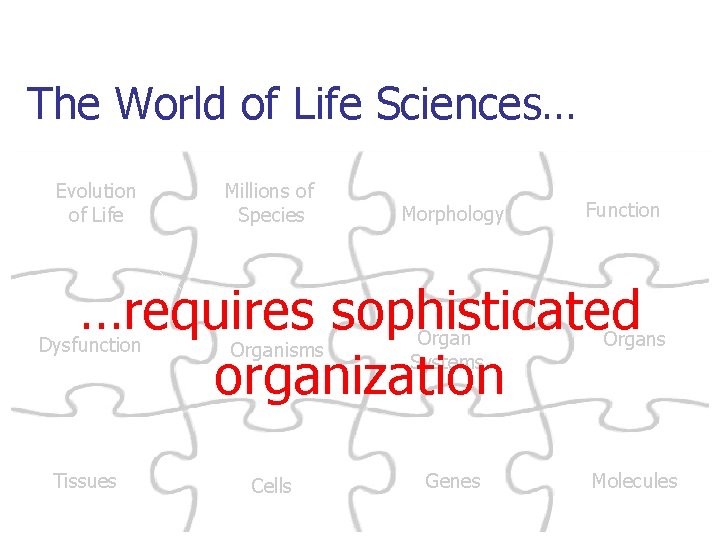 The World of Life Sciences… Evolution of Life Millions of Species Morphology Function …requires