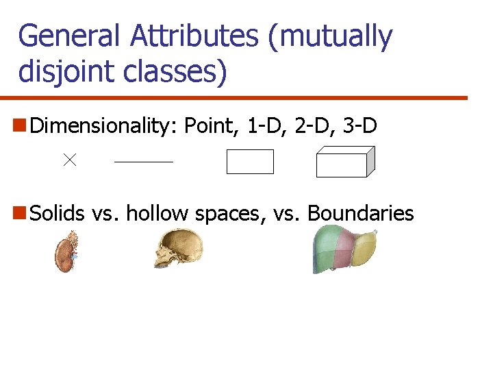General Attributes (mutually disjoint classes) n Dimensionality: Point, 1 -D, 2 -D, 3 -D