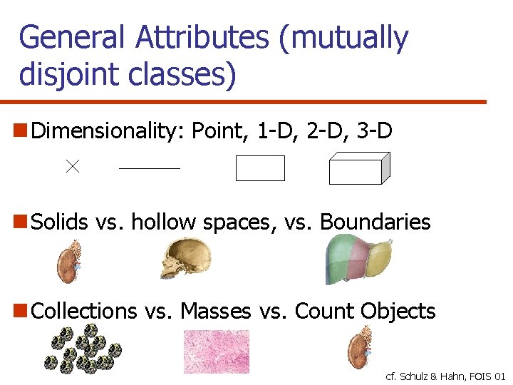 General Attributes (mutually disjoint classes) n Dimensionality: Point, 1 -D, 2 -D, 3 -D
