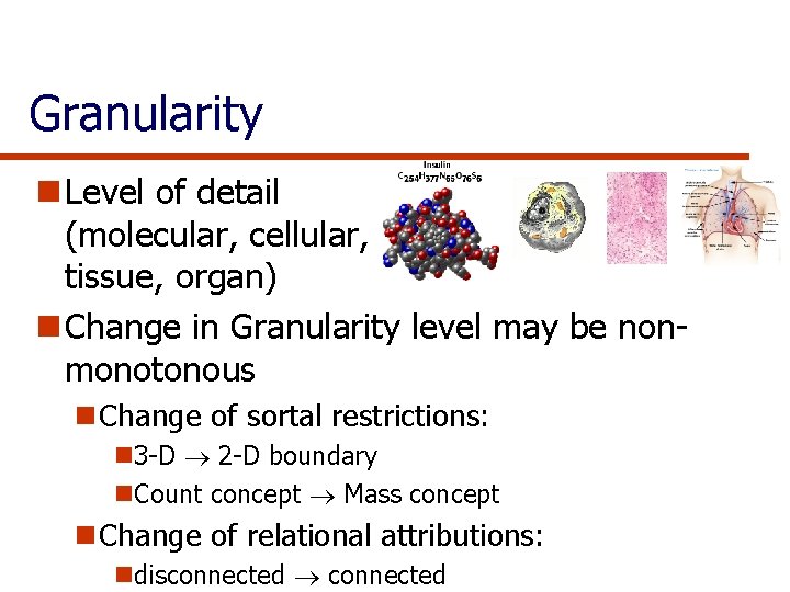 Granularity n Level of detail (molecular, cellular, tissue, organ) n Change in Granularity level