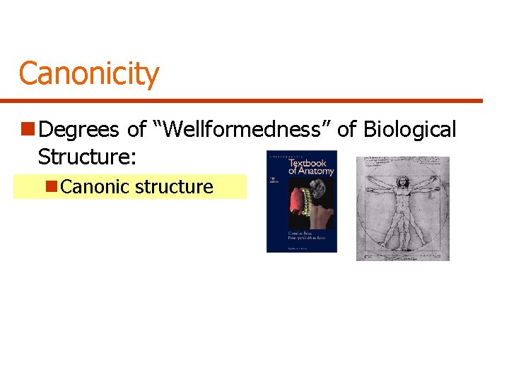 Canonicity n Degrees of “Wellformedness” of Biological Structure: n Canonic structure 