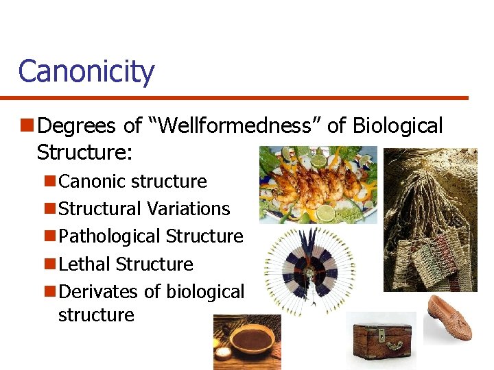 Canonicity n Degrees of “Wellformedness” of Biological Structure: n Canonic structure n Structural Variations