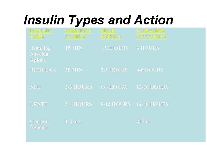 Insulin Types and Action 