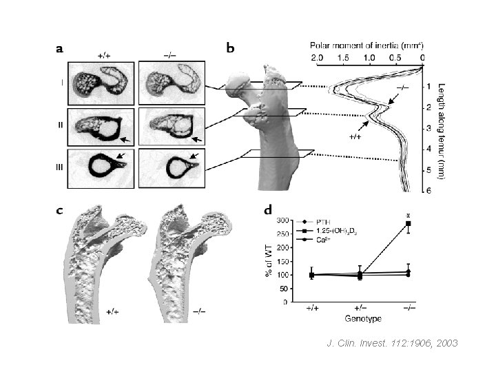J. Clin. Invest. 112: 1906, 2003 