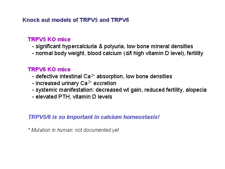 Knock out models of TRPV 5 and TRPV 6 TRPV 5 KO mice -