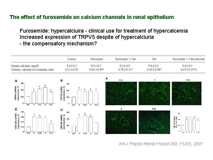 The effect of furosemide on calcium channels in renal epithelium Furosemide: hypercalciuira - clinical